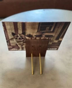 Double Helix Records Cool As Sh%t LP Display Stand New Merch