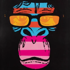 Elvis Costello Striped Monkey 2011 Poster