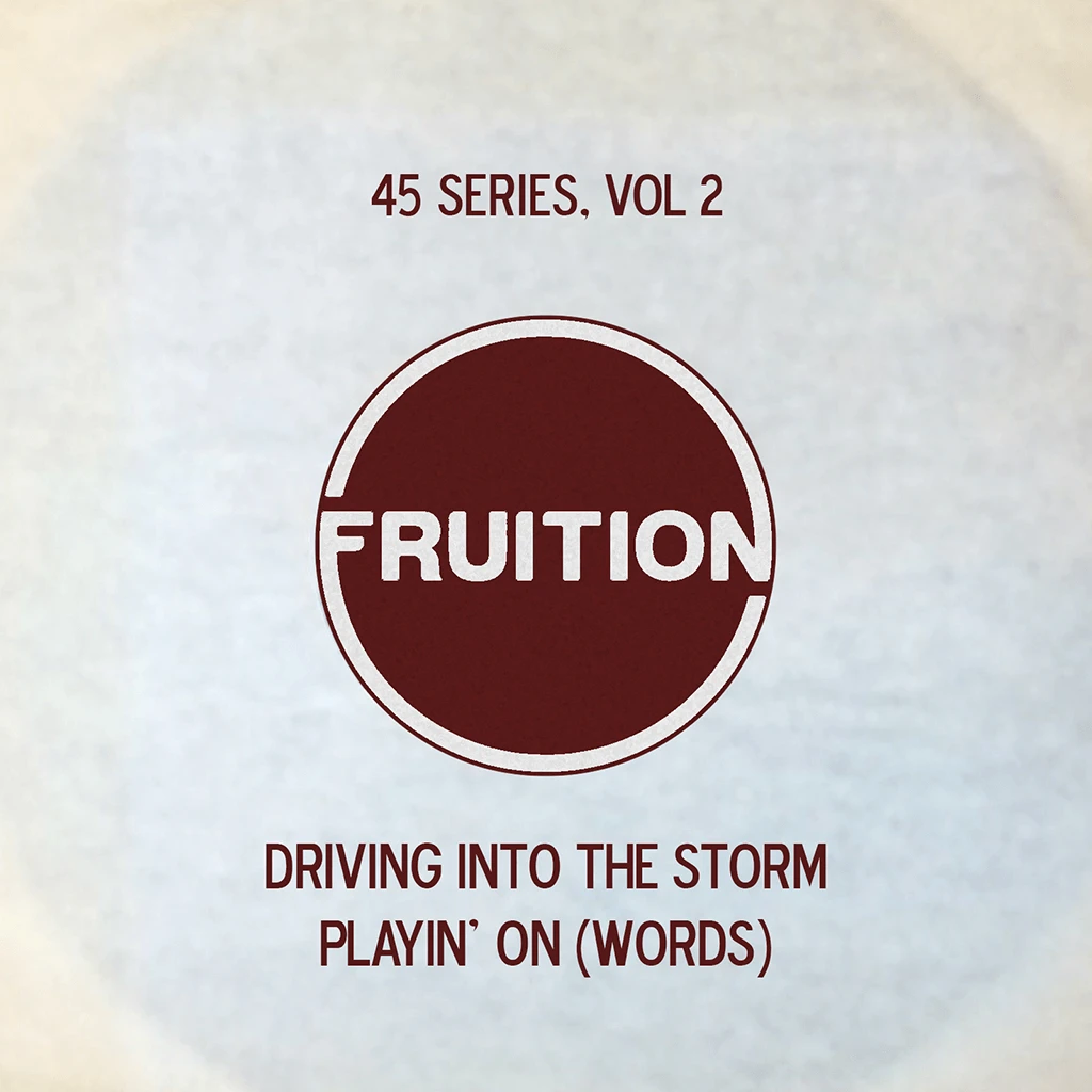 Fruition New Merch 45 Series Vol. 2 7" Vinyl