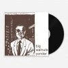 New Merch Big Walnuts Yonder 12" Vinyl