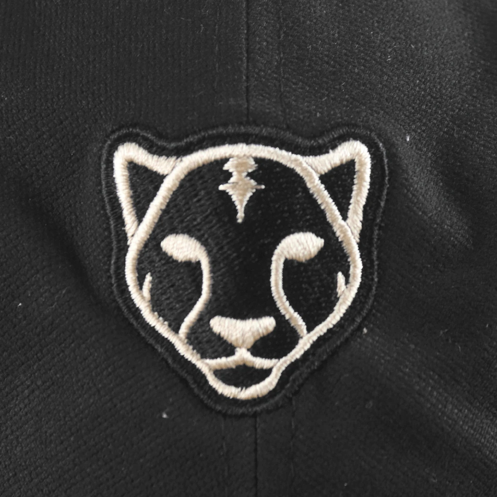 Black Pumas Monoline Microsuede Bill Dad Hat New Merch