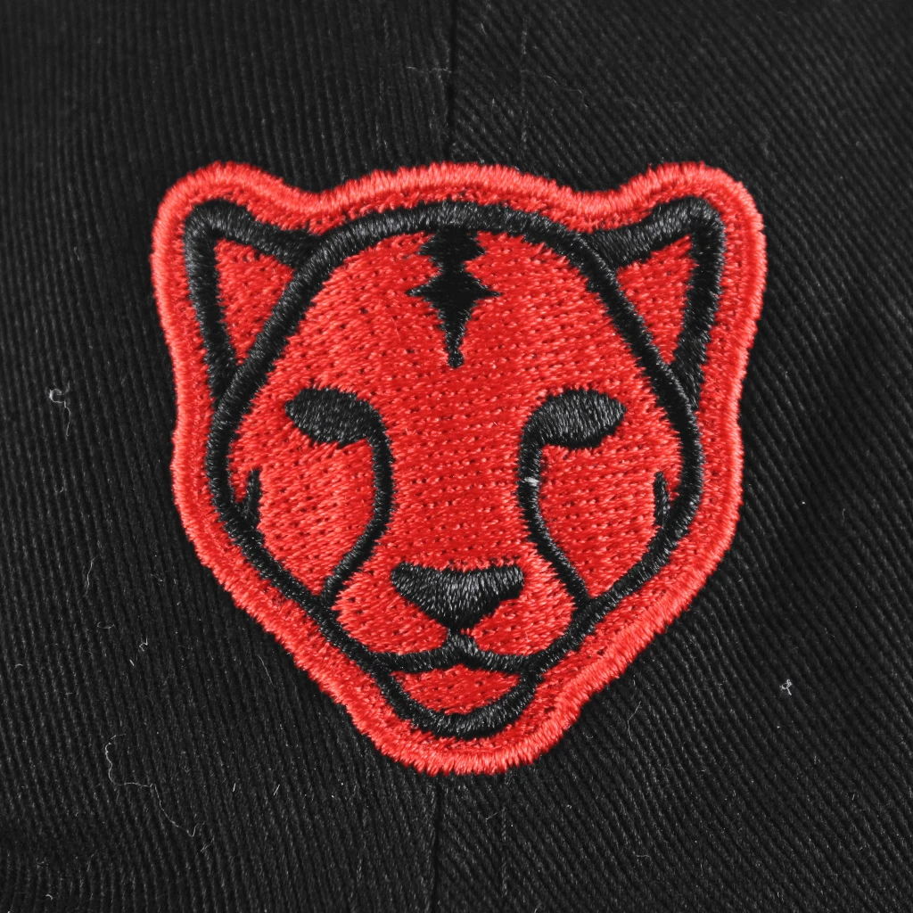 Black Pumas New Merch Monoline Dad Hat