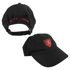Black Pumas New Merch Monoline Dad Hat