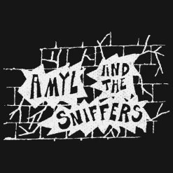 Amyl And The Sniffers New Merch Bricks Canvas Patch