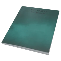 Cass McCombs New Merch Toy Fabels Book Of Poetry With Illustrations