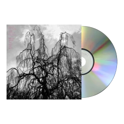 Colin Stetson Never Were The Way She Was