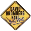 David Bromberg Big Road Sticker New Merch