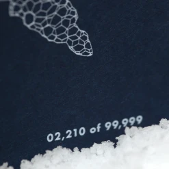 Field Notes Snowy Evening 3-Pack New Merch