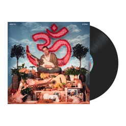 Brad Stank New Merch Kinky Om Vinyl