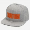 New Merch Fruition Grey Snapback Hat