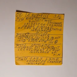 Mac DeMarco Here Comes The Cowboy (Demo) 12