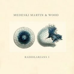 Medeski Martin & Wood Radiolarians I CD