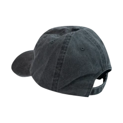 The Nude Party Wavy Dad Hat New Merch