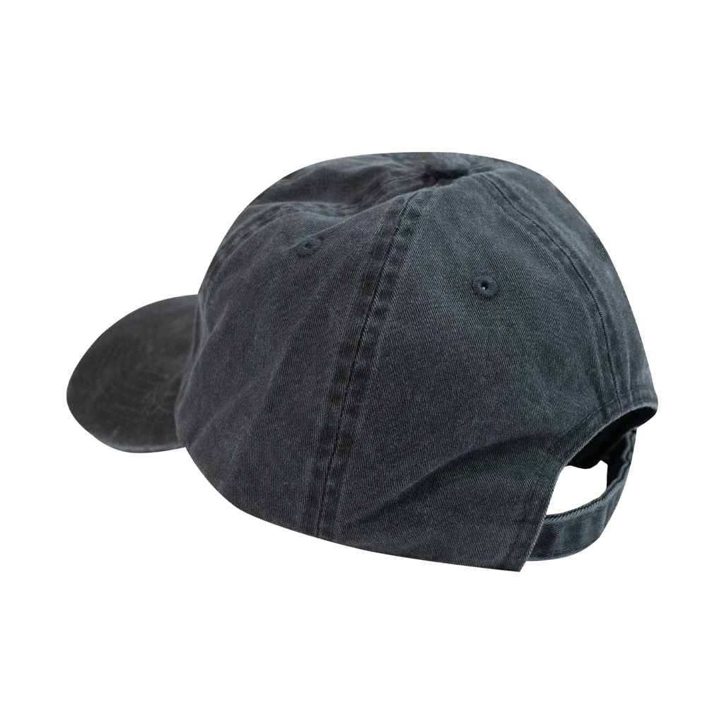 The Nude Party Wavy Dad Hat New Merch