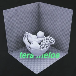 Tera Melos Cube Black T-Shirt