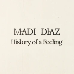 Madi Diaz History Of A Feeling Tote New Merch