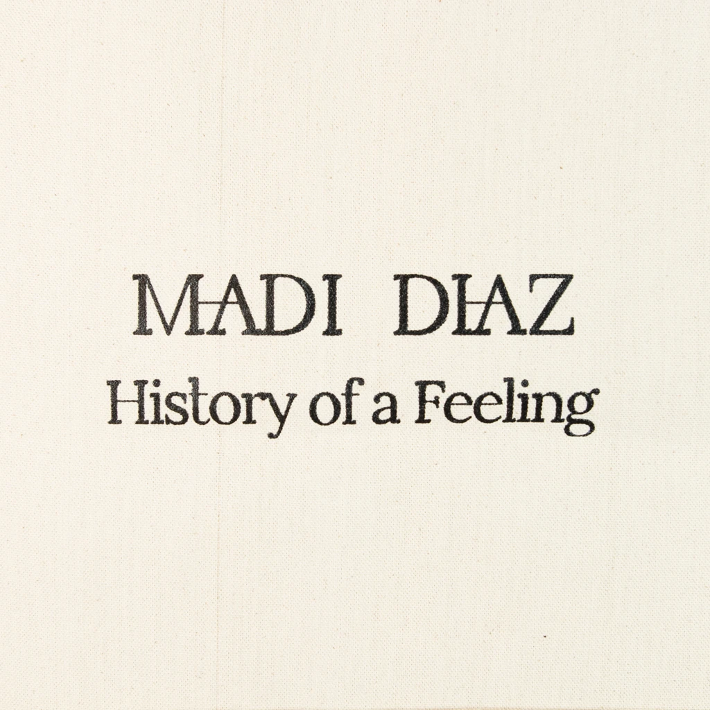 Madi Diaz History Of A Feeling Tote New Merch