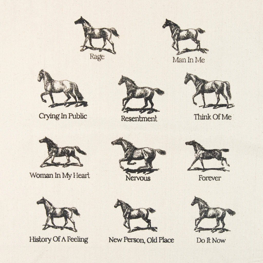 Madi Diaz History Of A Feeling Tote New Merch