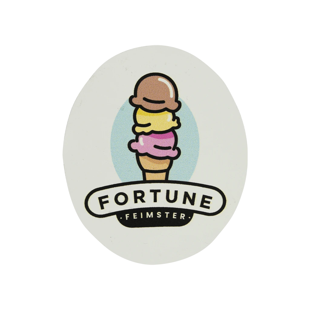 Fortune Feimster New Merch Ice Cream Magnet