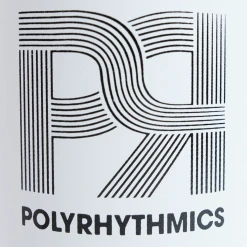 Polyrhythmics Go Two Stainless Steel Water Bottle New Merch
